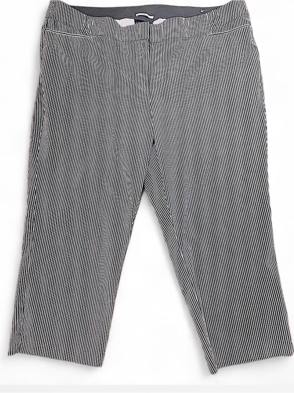 Lane Bryant The Allie Striped Pants